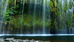 Landscapes stones nature water foliage Green moss Plants 