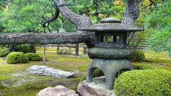 Landscapes stones Trees Japan Garden
