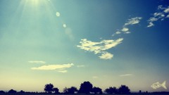 Landscapes summer lens flare