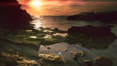 Landscapes sun coast