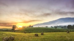 Landscapes sun fields