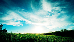 Landscapes sun grass