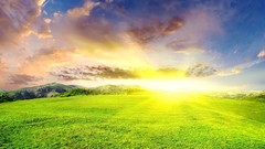 Landscapes sun grass