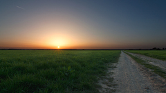 Landscapes sun grass roads