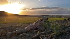 Landscapes sun Men soldiers military fields
