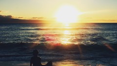 Landscapes sun ocean coast Beaches sunlight surfers