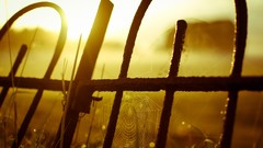 Landscapes sun spider webs