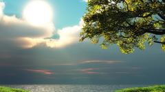 Landscapes sun Trees Sea