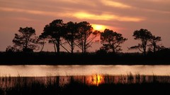 Landscapes sunlight rivers forests north carolina