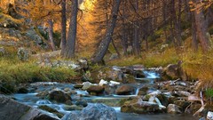 Landscapes sunrise creek nature Trees grass yellow water blue 