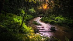 Landscapes sunrise creek nature Trees yellow water red Green 