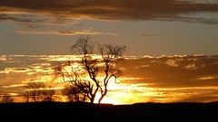 Landscapes sunrise dawn Africa