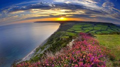 Landscapes sunrise Flowers clouds fields digital