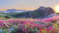 Landscapes sunrise Flowers nature grass yellow Mountains hills 