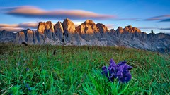 Landscapes sunrise Flowers nature Mountains clouds purple Green