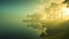 Landscapes sunrise fog nature calm lakes dreamy
