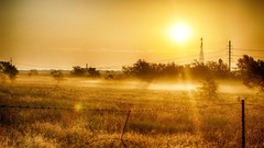 Landscapes sunrise fog nature sun dawn fields golden
