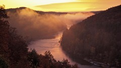 Landscapes sunrise forests