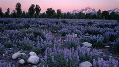 Landscapes sunrise glow Wyoming Range