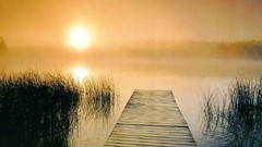 Landscapes sunrise grass water