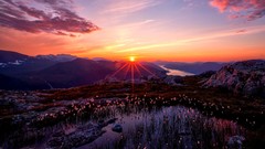 Landscapes sunrise horizon Earth