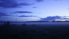 Landscapes sunrise nature blue morning mist