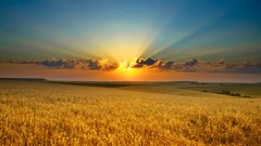 Landscapes sunrise nature clouds horizon fields sunlight plains