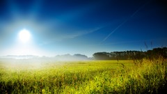 Landscapes sunrise nature grass germany Brandenburg