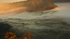 Landscapes sunrise nature Indonesia Volcanoes national 