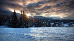 Landscapes sunrise nature snow land forests