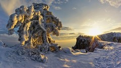 Landscapes sunrise nature snow winter hills white snowy trees 