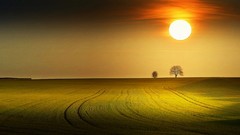 Landscapes sunrise nature Trees clouds red white Green prairie 