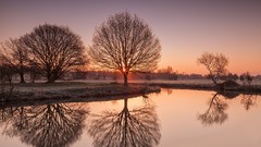 Landscapes sunrise nature Trees dawn calm frost United Kingdom 
