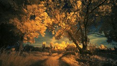 Landscapes sunrise nature Trees grass dead normandy country road