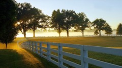 Landscapes sunrise nature Trees grass fences farms