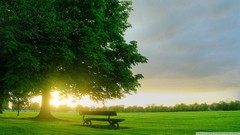 Landscapes sunrise nature Trees grass summer bench virtual 