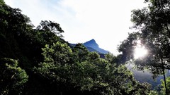 Landscapes sunrise nature Trees sun Mountains clouds morning 