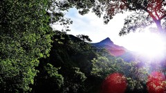 Landscapes sunrise nature Trees sun Mountains clouds sunlight 