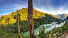 Landscapes sunrise nature Trees water clouds hills trunks white 