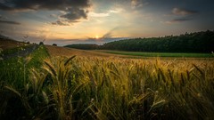 Landscapes sunrise Rays clouds Green orange switzerland fields 