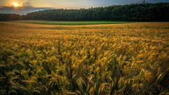 Landscapes sunrise Rays clouds Green orange switzerland fields 