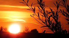 Landscapes sunrise sunset nature sun