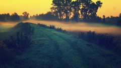 Landscapes sunrise sunset nature Trees dawn fields