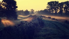 Landscapes sunrise sunset nature Trees dawn fields sunlight