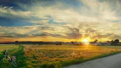 Landscapes sunrise sunset nature Trees sun clouds dawn panorama 