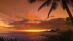 Landscapes sunrise sunset Sea nature sun clouds ocean Hawaii 