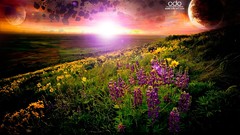 Landscapes sunrise sunset sun fields Photo manipulation