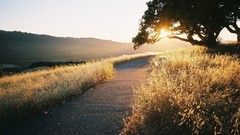 Landscapes sunrise sunset Trees dawn roads paths fields