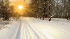Landscapes sunrise sunset Trees snow winter sun roads paths 