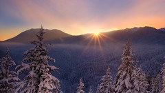 Landscapes sunrise Trees snow winter Mountains